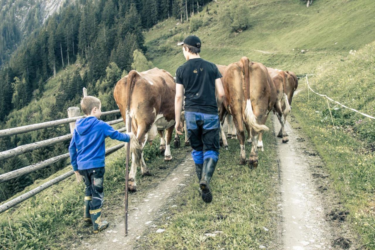 Brugger Chaletdorf Mayrhofen Exteriör bild